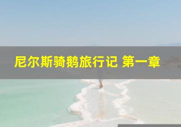 尼尔斯骑鹅旅行记 第一章